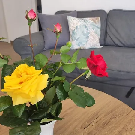 Adria Relax With Private Heated Pool Apartment